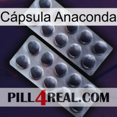 Cápsula Anaconda 31